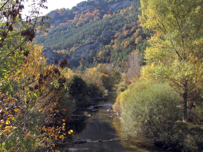 © RuralesDATA