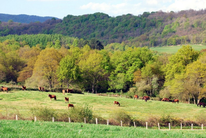 © RuralesDATA