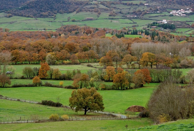 © RuralesDATA