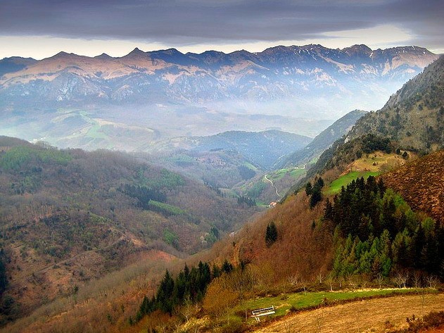 © RuralesDATA