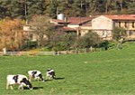 Casa A Curiscada