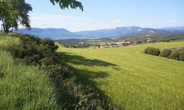 © RuralesDATA