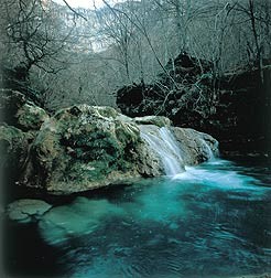 © RuralesDATA