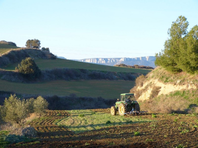 © RuralesDATA