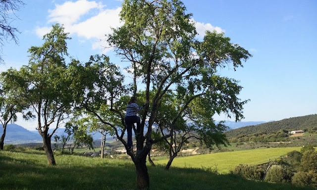 © RuralesDATA