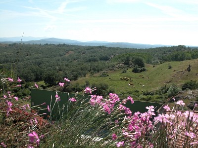 © RuralesDATA