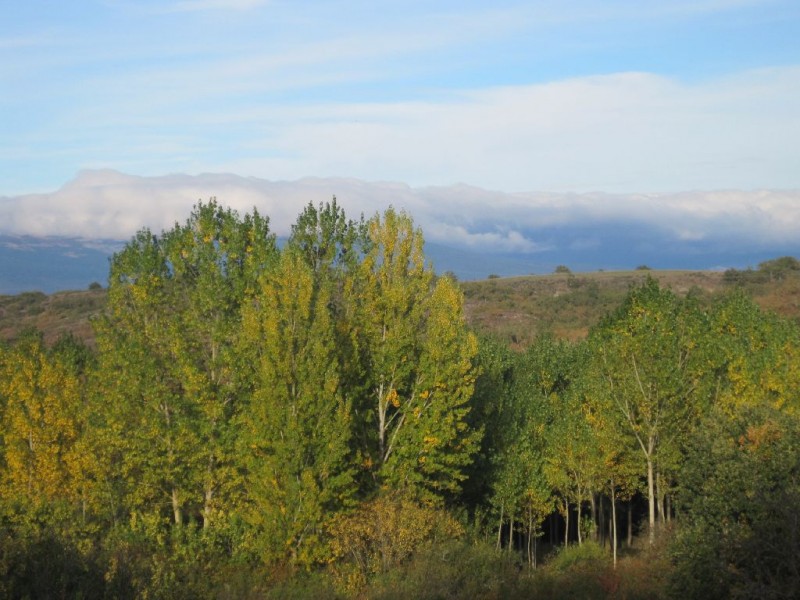 © RuralesDATA