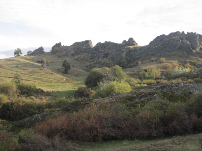 © RuralesDATA