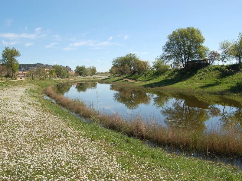 © RuralesDATA