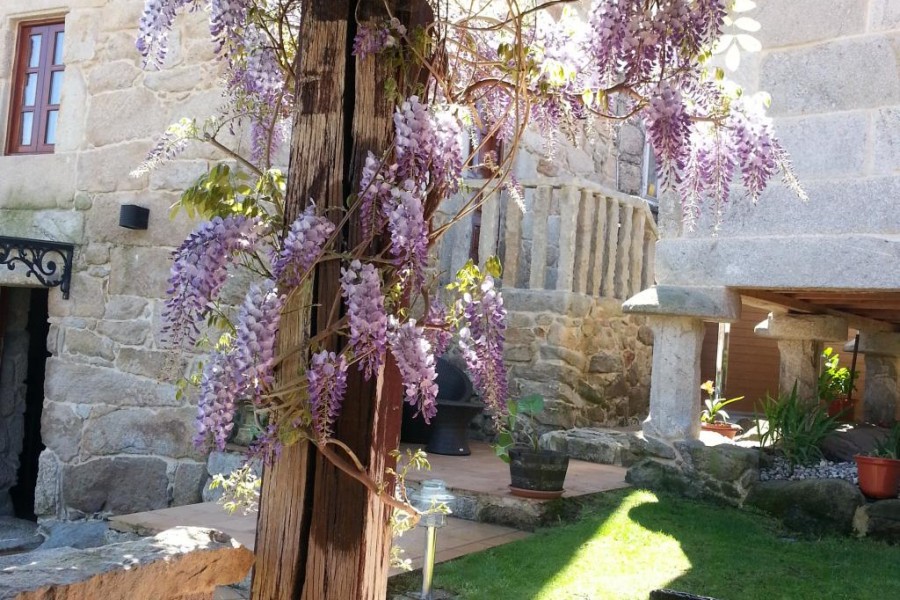 apartamentos serena golf telefono