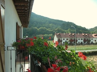 © RuralesDATA
