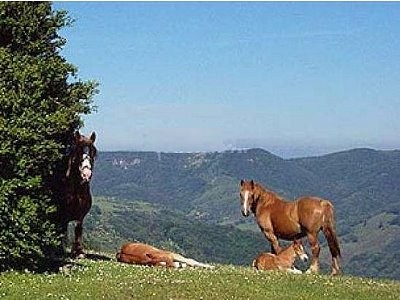 © RuralesDATA