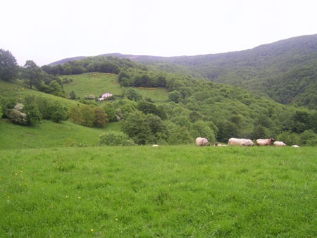 © RuralesDATA