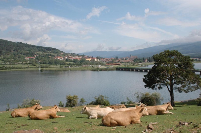 © RuralesDATA