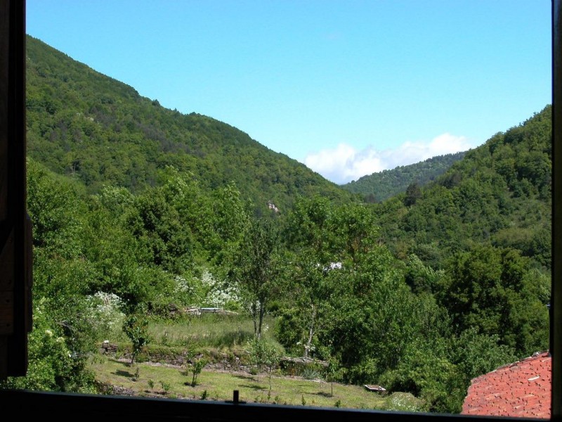 © RuralesDATA