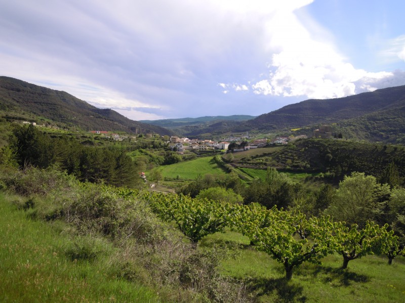 © RuralesDATA