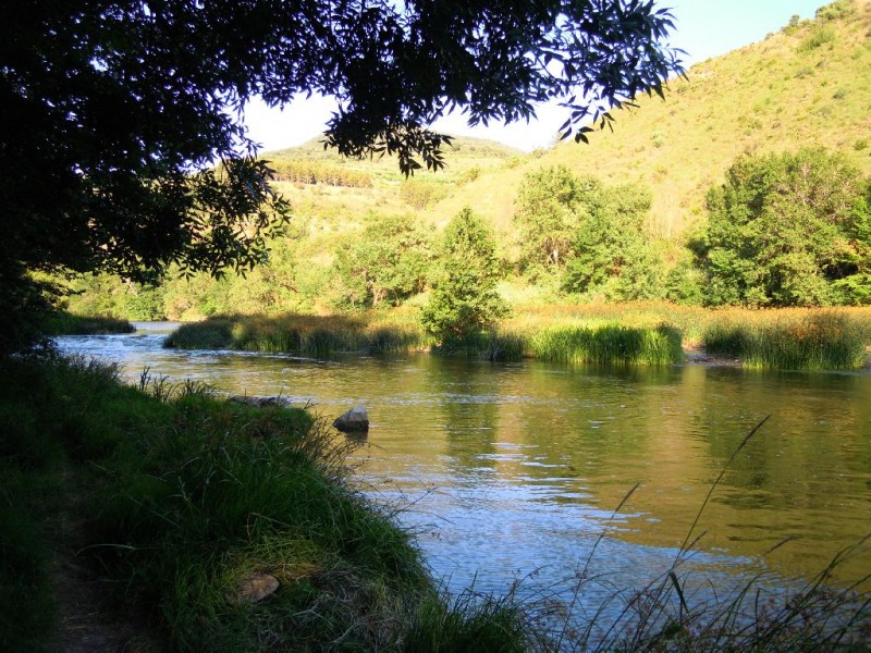 © RuralesDATA