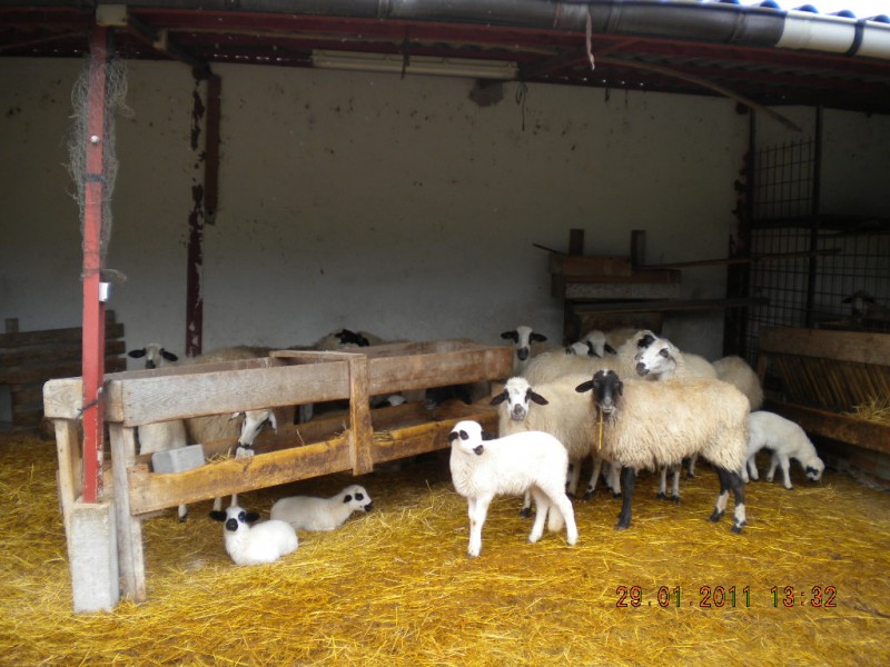 © RuralesDATA