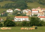 Hotel Gartxenia