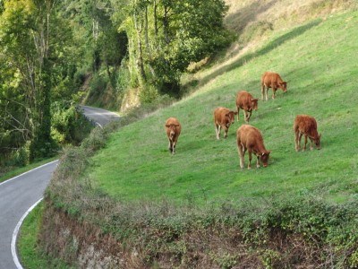 © RuralesDATA