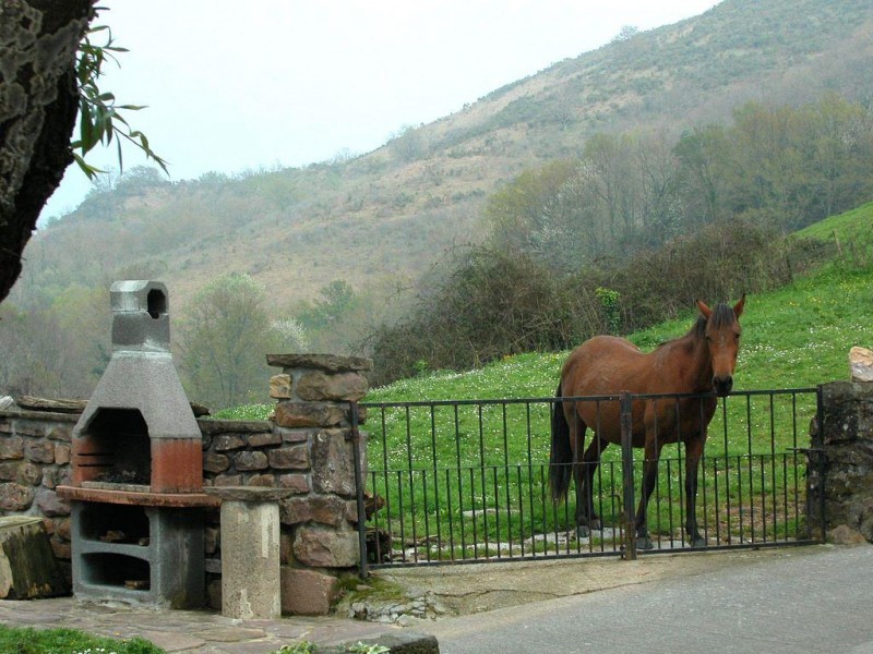 © RuralesDATA