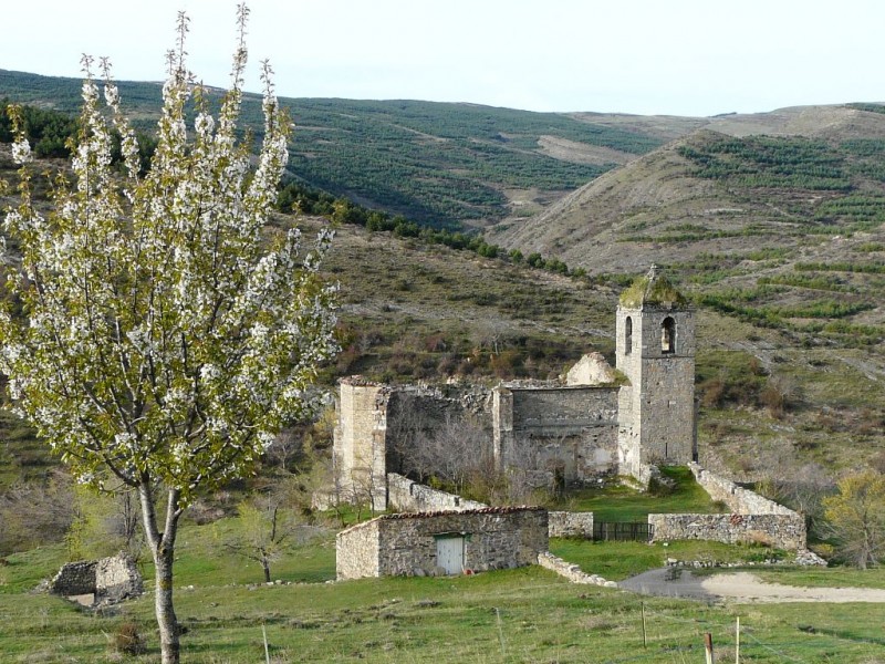 © RuralesDATA