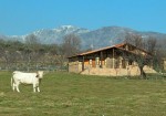 Las Caba&ntilde;as de La Vera