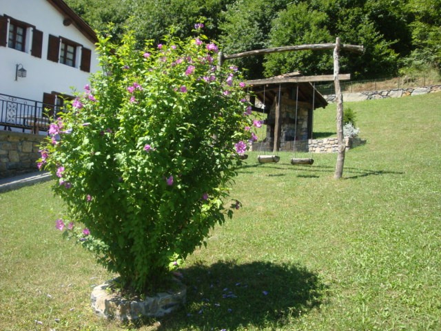 © RuralesDATA