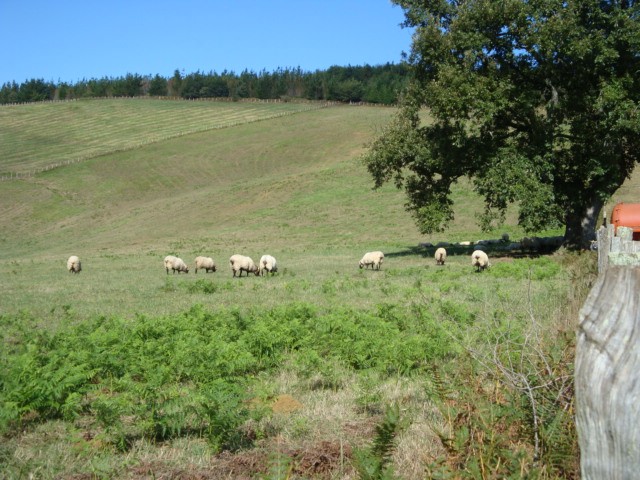 © RuralesDATA