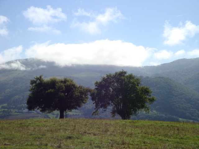 © RuralesDATA
