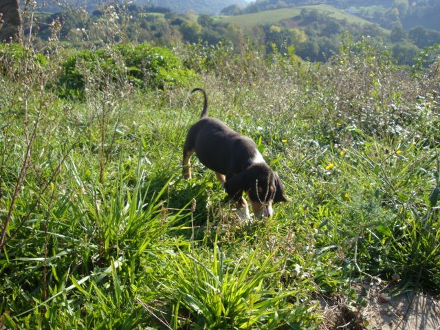 © RuralesDATA