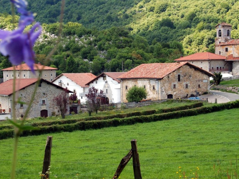 © RuralesDATA