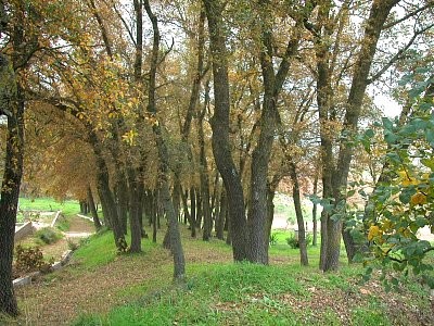 © RuralesDATA