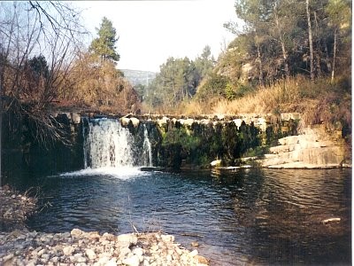 © RuralesDATA