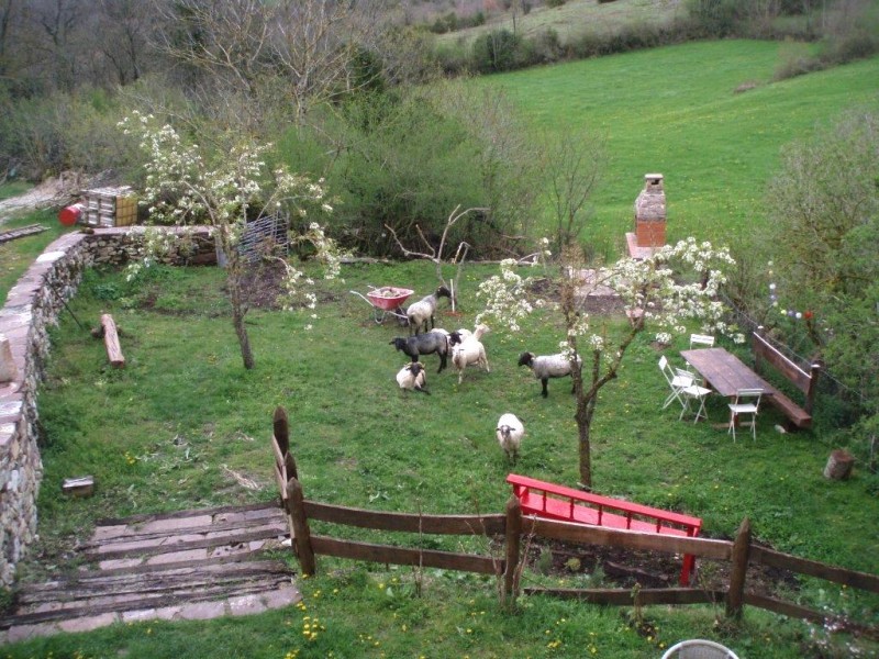 © RuralesDATA