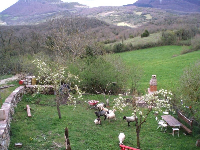 © RuralesDATA