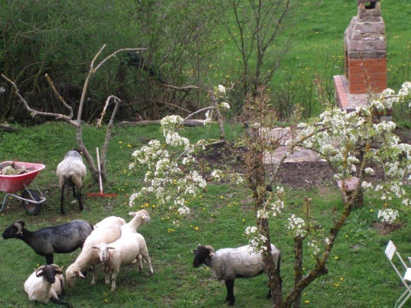 © RuralesDATA
