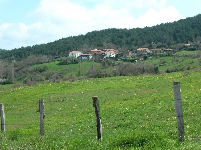 © RuralesDATA