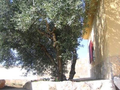 © RuralesDATA