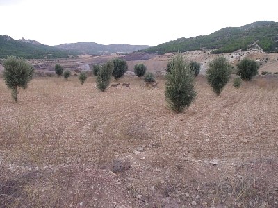 © RuralesDATA