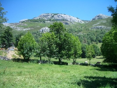 © RuralesDATA