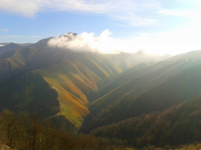 © RuralesDATA