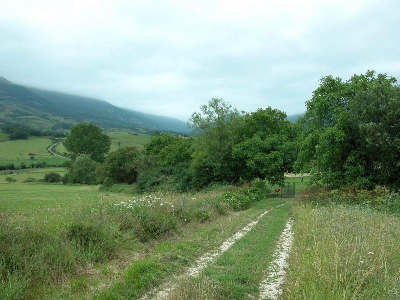 © RuralesDATA