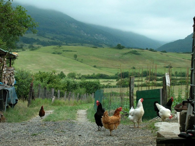 © RuralesDATA
