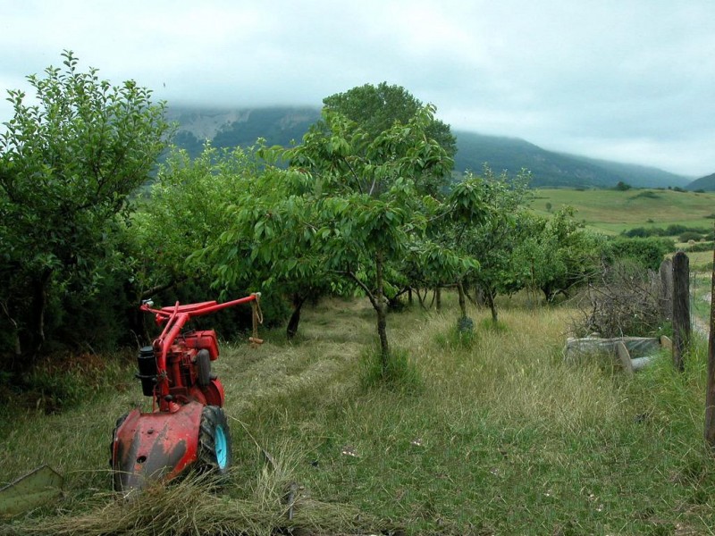 © RuralesDATA