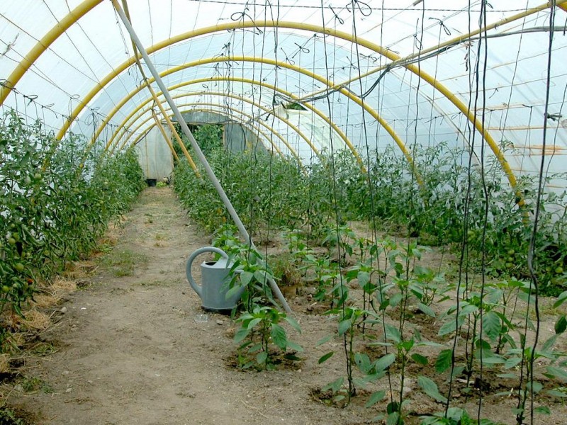 © RuralesDATA