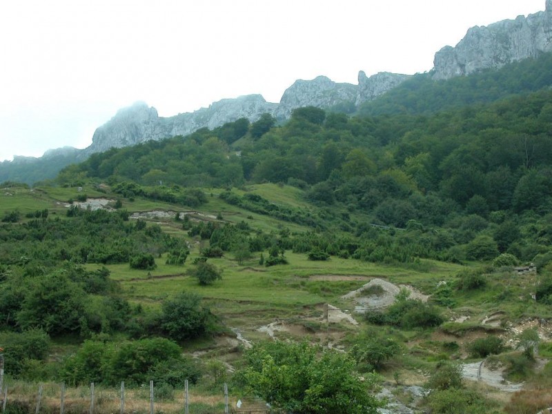 © RuralesDATA