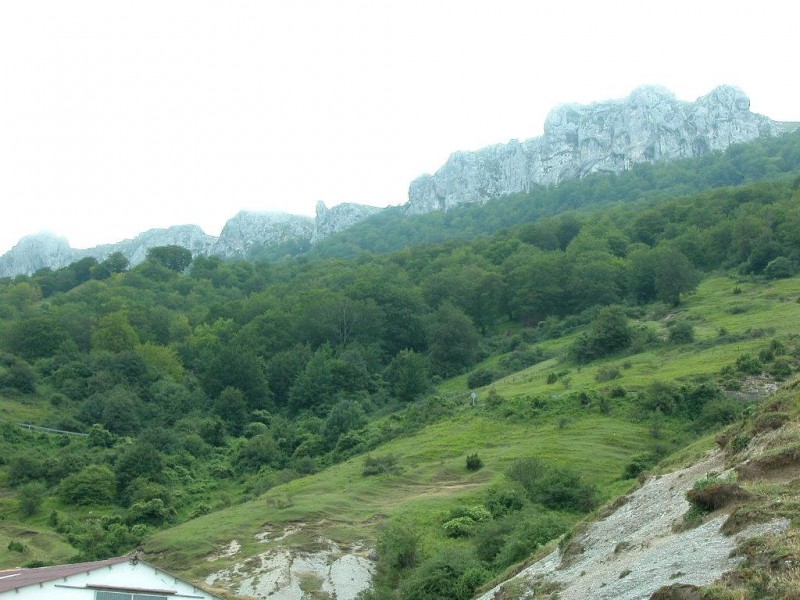 © RuralesDATA