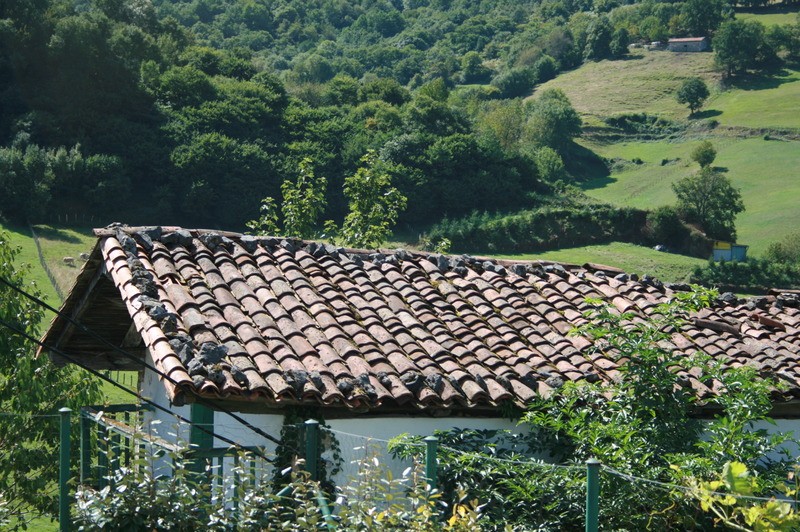 © RuralesDATA
