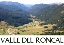 P�gina Web del Valle de Roncal